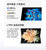VIVO  X Fold  全网通 --HS-- 12+512 晴山蓝第4张高清大图